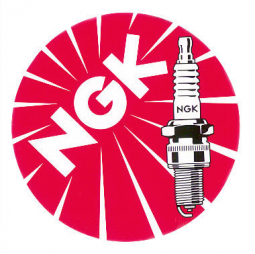 NGK Spark Plugs